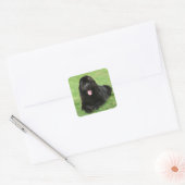 Newfoundlandhond Vierkante Sticker (Envelop)