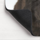 Newfoundlandpuppy, studio shot muismat (Hoek)