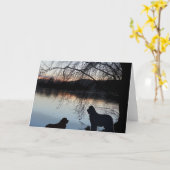 Newfounland hond Groeten Kaart (Gele Bloem)