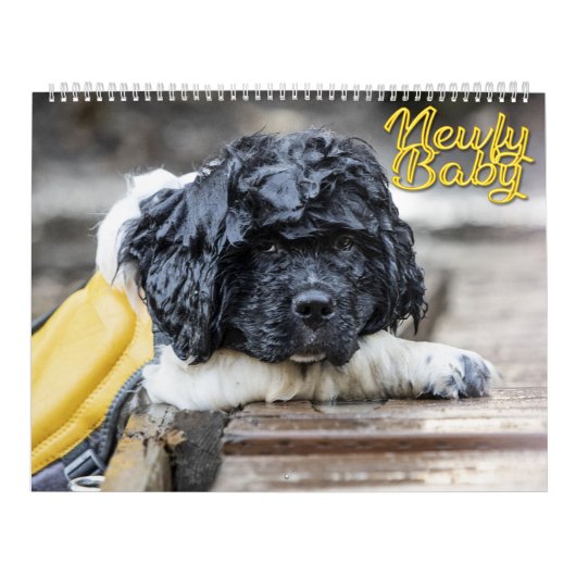 Newfy Baby Kalender (Hoes)
