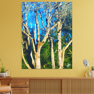 Newman Rd Whidbey Island Bomen #1 Canvas Afdruk