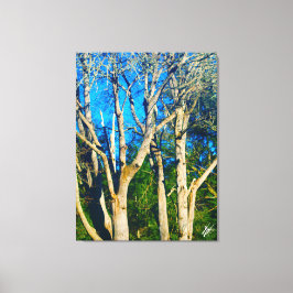 Newman Rd Whidbey Island Bomen #1 Canvas Afdruk