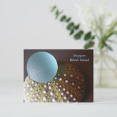 Newport Rhode Island ~ Carte postale (Debout devant)