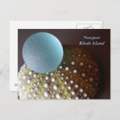 Newport Rhode Island ~ Carte postale (Devant / Derrière)