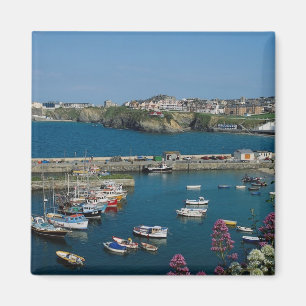 Newquay Harbour, Cornwall, Verenigd Koninkrijk Magneet