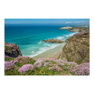 Newquay-strand in North Cornwall, wilde bloemen kl Perfect Poster