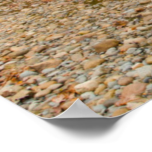 Newry Covered Bridge over river in autumn Poster (Hoek)