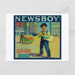 Newsboy Oranje LabelRedlands, CA Briefkaart