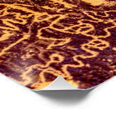 Newspaper Rock American Indian Utah Perfect Poster (Hoek)