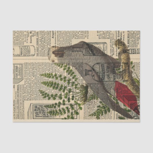 Newsprint Parrot Tissuepapier (Voorkant)