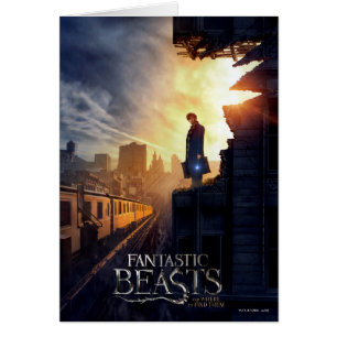 NEWT SCAMANDER™ in het verwoeste gebouw