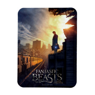 NEWT SCAMANDER™ in het verwoeste gebouw Magneet