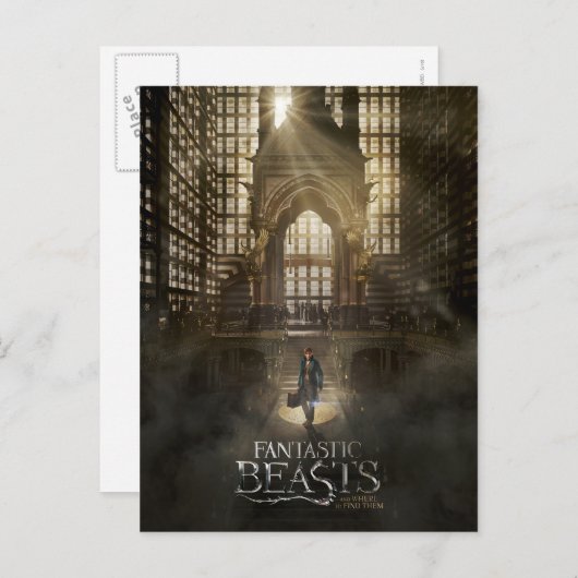 NEWT SCAMANDER™ in MACUSA™ Headquarters Briefkaart (Voorkant / Achterkant)