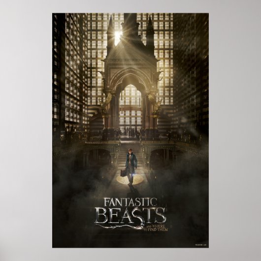 NEWT SCAMANDER™ in MACUSA™ Headquarters Poster (Voorkant)