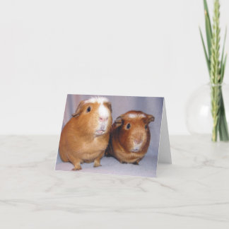 Newton en Skeeter Notecard Kaart