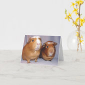 Newton et carte pour notes de Skeeter (Fleur jaune)