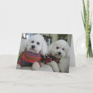 "Nez Froid, Coeurs Chauds" - Carte de voeux