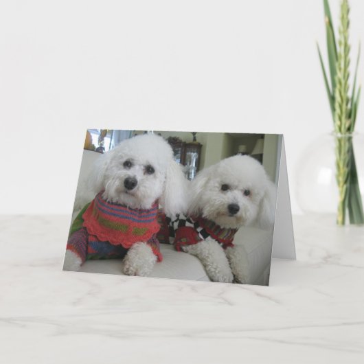 "Nez Froid, Coeurs Chauds" - Carte de voeux (Devant)