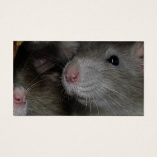 Nez minuscule