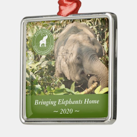 NFEF Square Ornament (Links)