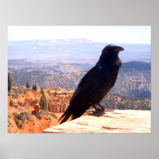 NG Crow Poster