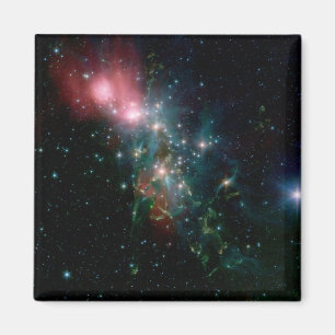 NGC 1333 Chaotische geboorte van sterren Magneet