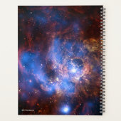 NGC 604 PLANNER (Achterkant)