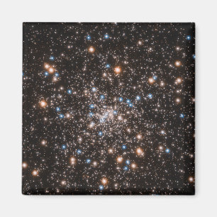 NGC 6397 MAGNEET