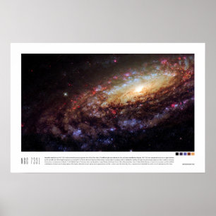 NGC 7331 (Caldwell 30) Poster