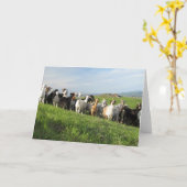 NGIP-Wenskaarten Kaart (Gele Bloem)