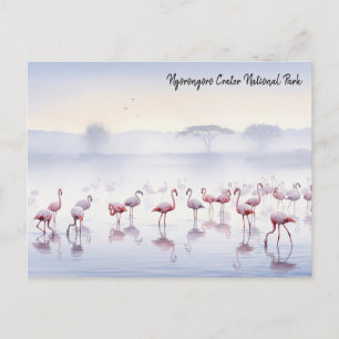 Ngorongoro Tanzania Flamingos Briefkaart