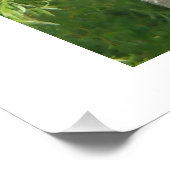 NH Gnarled Tree Foto Afdruk (Hoek)