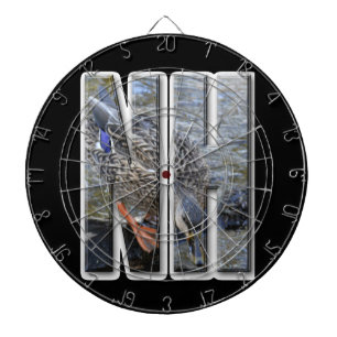 NH NEW HAMPSHIRE DARTBORD