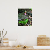 NH Roze Lady Slipper (Cypridedium Acaule) 16x20 Poster (Keuken)