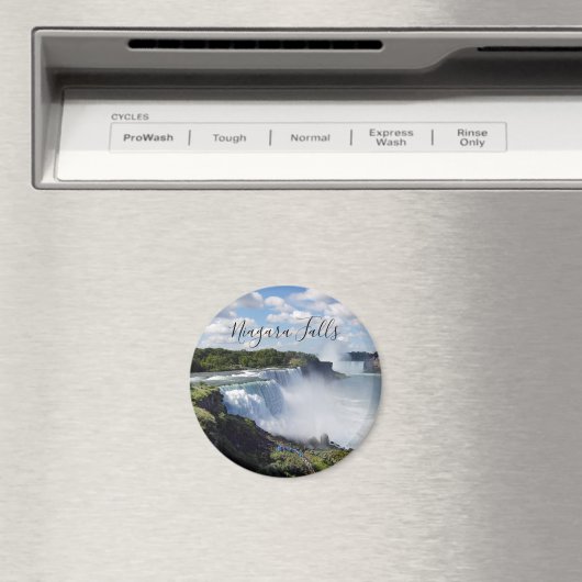 Niagara Falls Magnet (In Situ (Lave-vaisselle))