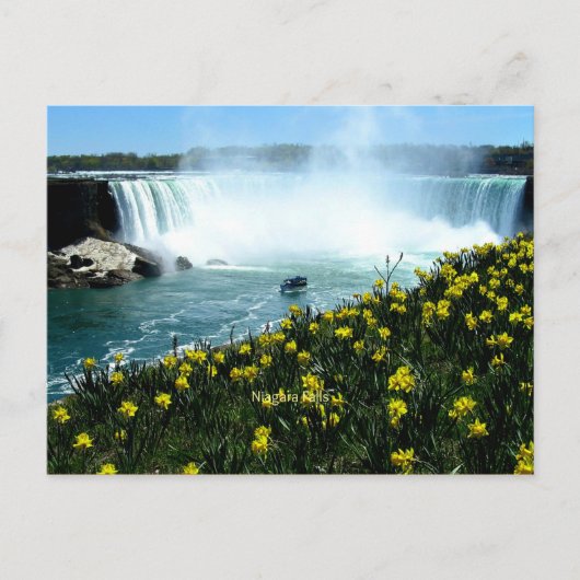 Niagara Falls, Scenic Photograph Briefkaart (Voorkant)