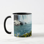 Niagara Falls, Scenic Photograph Mok (Links)