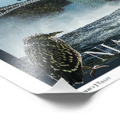 Niagara Herfst Poster (Hoek)