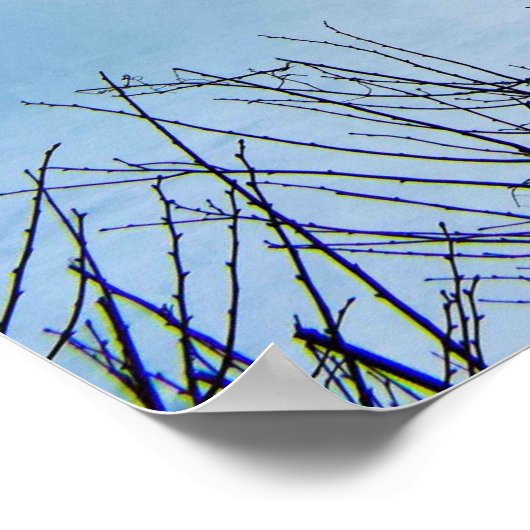 Niagara Herfsten Art Print (Hoek)