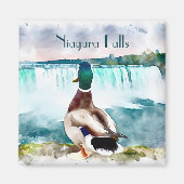 Niagara Herfsten Mallard Duck Souvenir Magneet (Voorkant)