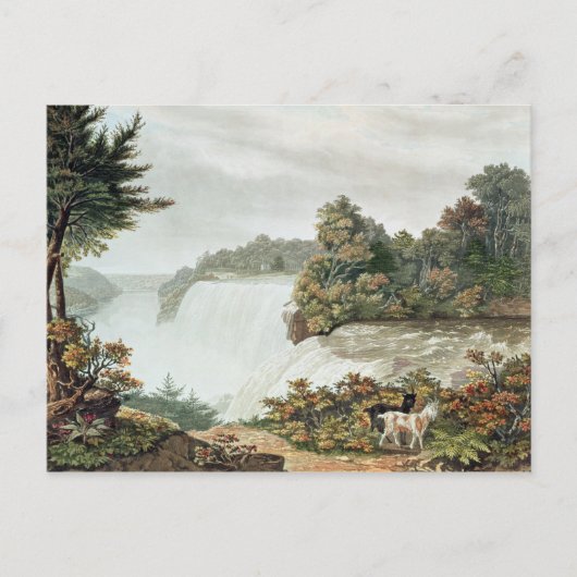 Niagara-Herfsten van Goat Island Briefkaart (Voorkant)