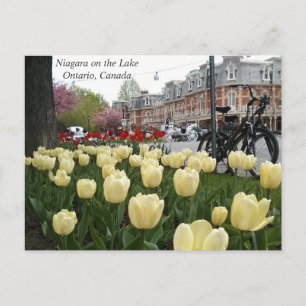 Niagara op het Meer Briefkaart