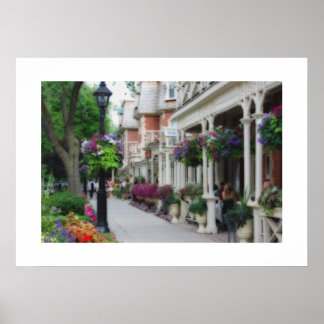 Niagara op het meer poster