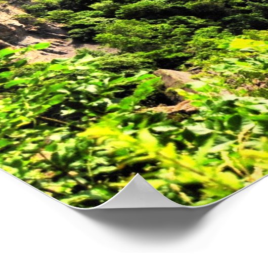 Niagara River/Rainbow Bridge Poster (Hoek)