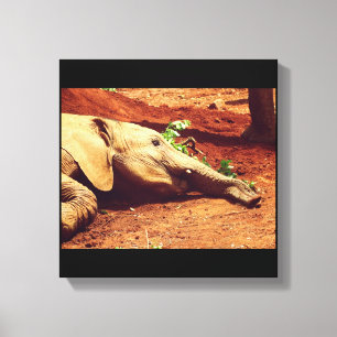 Niarobi Elephant Canvas Afdruk