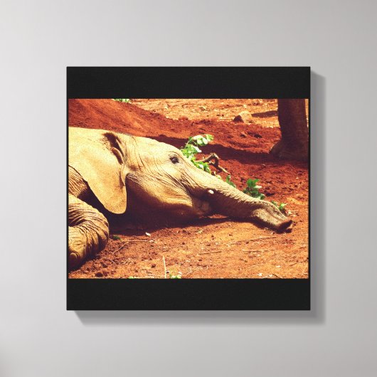 Niarobi Elephant Canvas Afdruk (Voorkant)