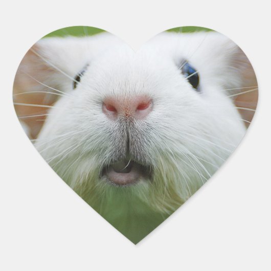 Nibbler stickers (Voorkant)