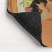 Nibbler vangt muismat (Hoek)