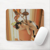 Nibbler vangt muismat (Met muis)