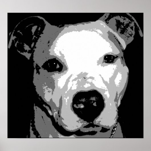 Nibs the Pit Bull Poster (Voorkant)
